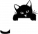 cat-trans-main-1