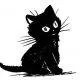 english-cat-high-res